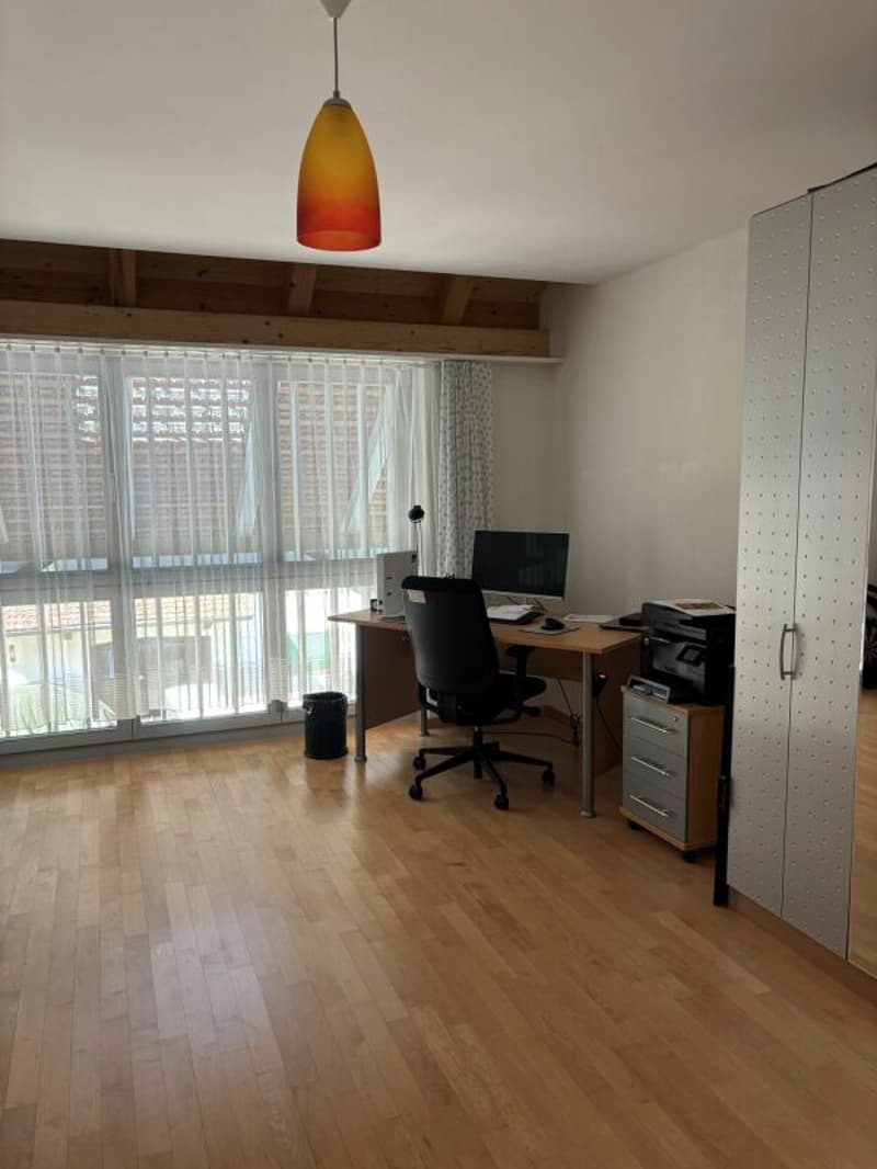 Ampio appartamento, molto ben curato di 3,5 locali con balcone soleggiato (6)