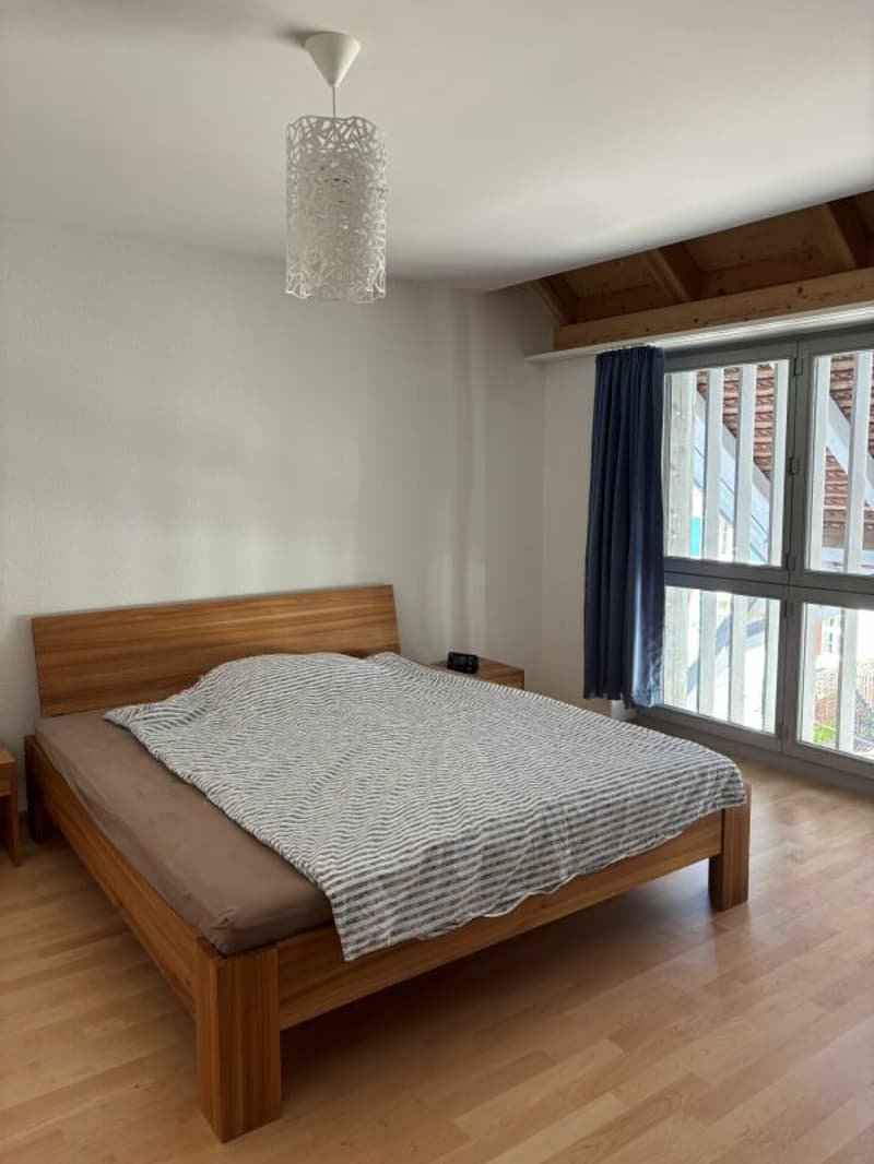 Ampio appartamento, molto ben curato di 3,5 locali con balcone soleggiato (5)