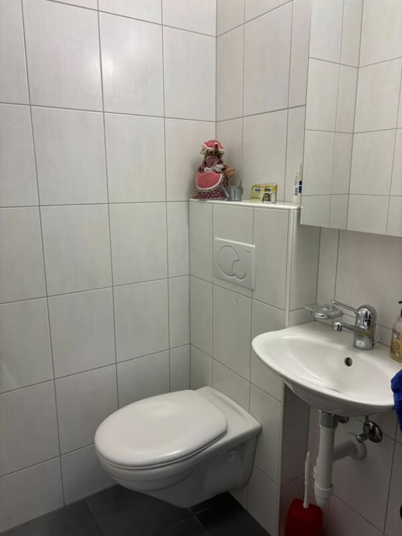 Ampio appartamento, molto ben curato di 3,5 locali con balcone soleggiato (9)