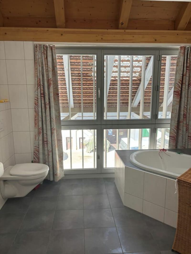 Ampio appartamento, molto ben curato di 3,5 locali con balcone soleggiato (8)