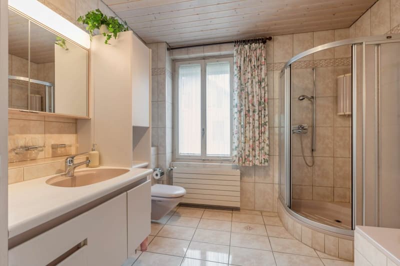 Very beautiful, central two-family house in a quiet, preferred residential area with separate garage plot (17)