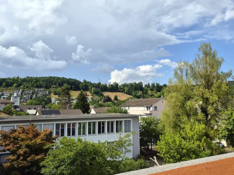 First rental - modern and urban 2.5-room apartment in Brugg (2)