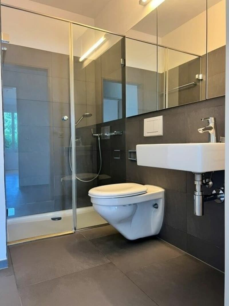 Moderne, lichtdurchflutete 4.5-Zimmer-Garten-Wohnung im beliebten Wohnquartier (6)