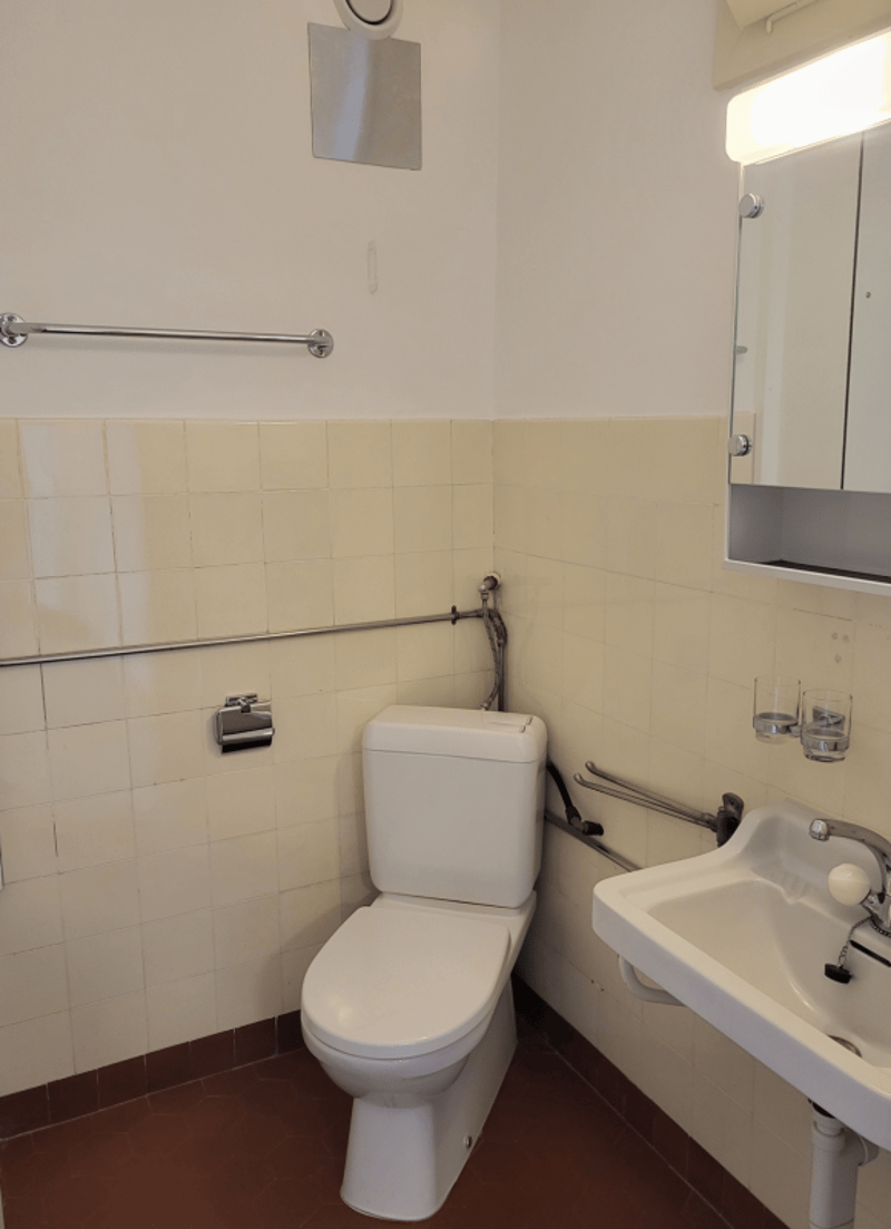 Bright 3.0-room apartment for rent in a central location (6)