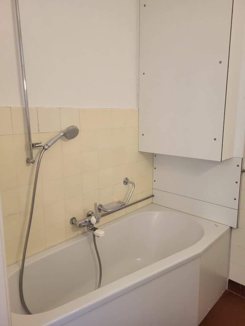 Bright 3.0-room apartment for rent in a central location (7)