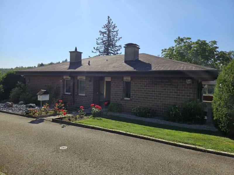Detached 5.5-room single-family house with ancillary rooms à 35 m2 and double garage. (11)