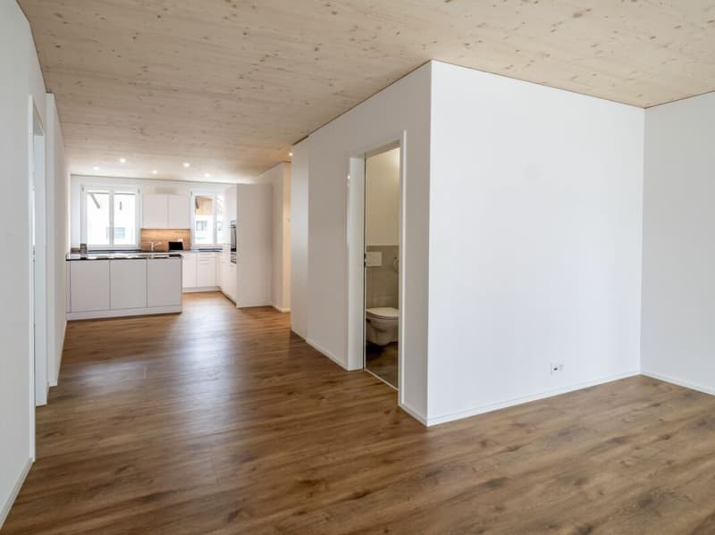 Moderne 2.5-Zimmer-Gartenwohnung zu vermieten (3)