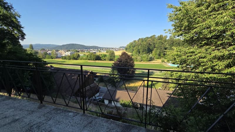 Casa unifamiliare di 3,5 locali a sé stante, in posizione centrale, in una posizione soleggiata con vista panoramica (11)