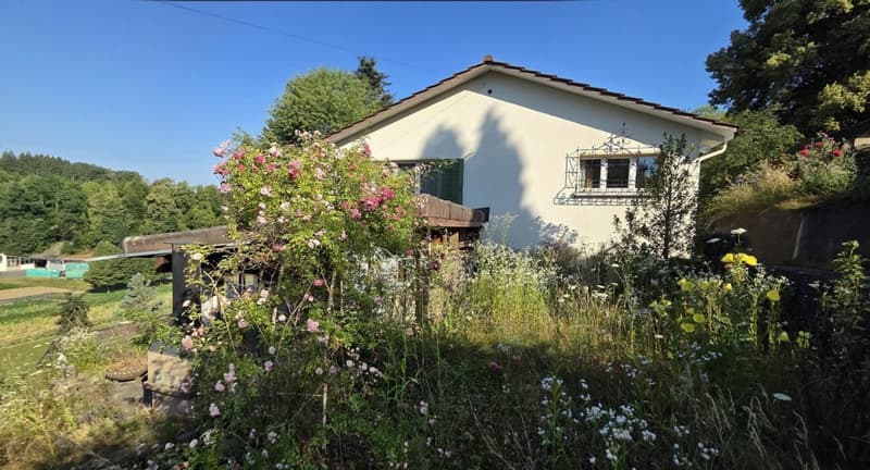 Casa unifamiliare di 3,5 locali a sé stante, in posizione centrale, in una posizione soleggiata con vista panoramica (3)