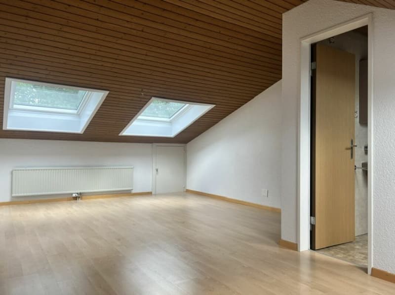 Appartamento maisonette di 5,5 locali situato in zona tranquilla con balcone in affitto (10)