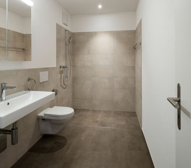 High-quality 2.5-room attic apartment for rent (8)