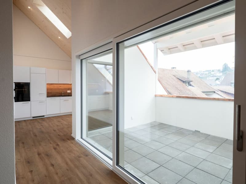 High-quality 2.5-room attic apartment for rent (4)