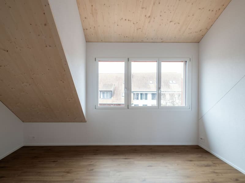 High-quality 2.5-room attic apartment for rent (6)