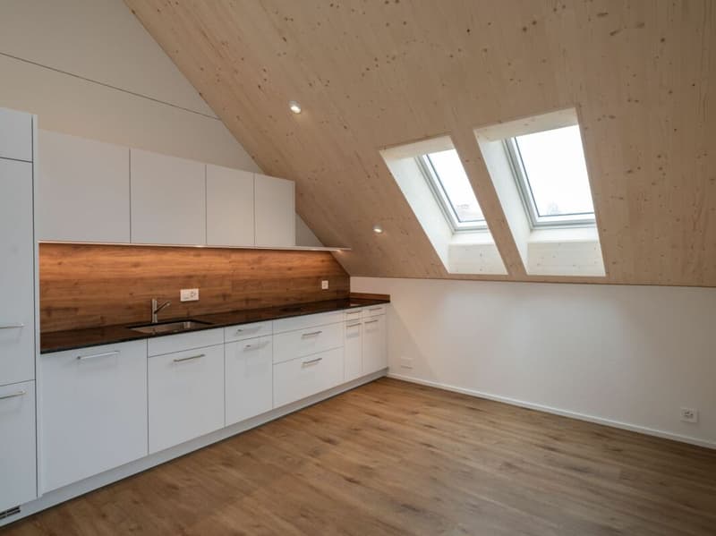 High-quality 2.5-room attic apartment for rent (3)