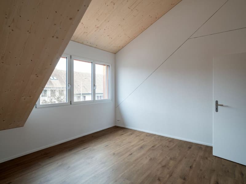 High-quality 2.5-room attic apartment for rent (7)