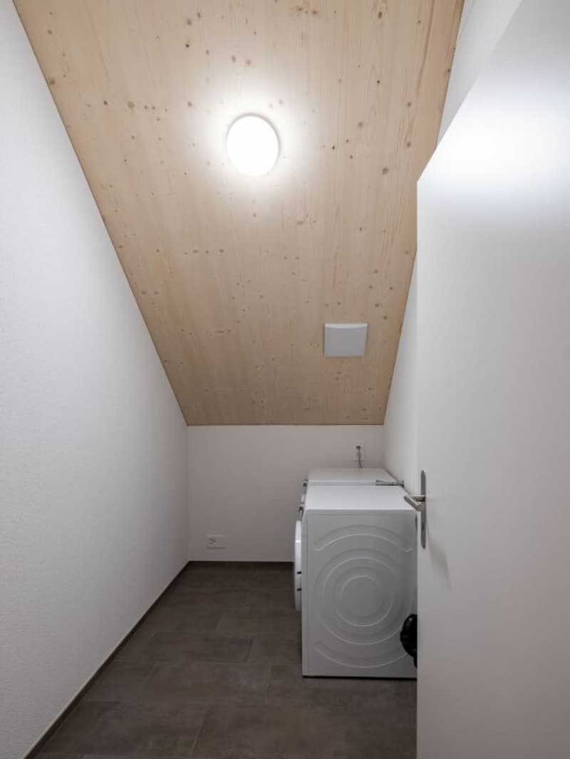 High-quality 2.5-room attic apartment for rent (9)