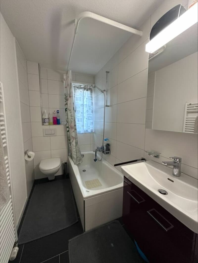 Appartement spacieux 1.5 pièces avec balcon ensoleillé (5)