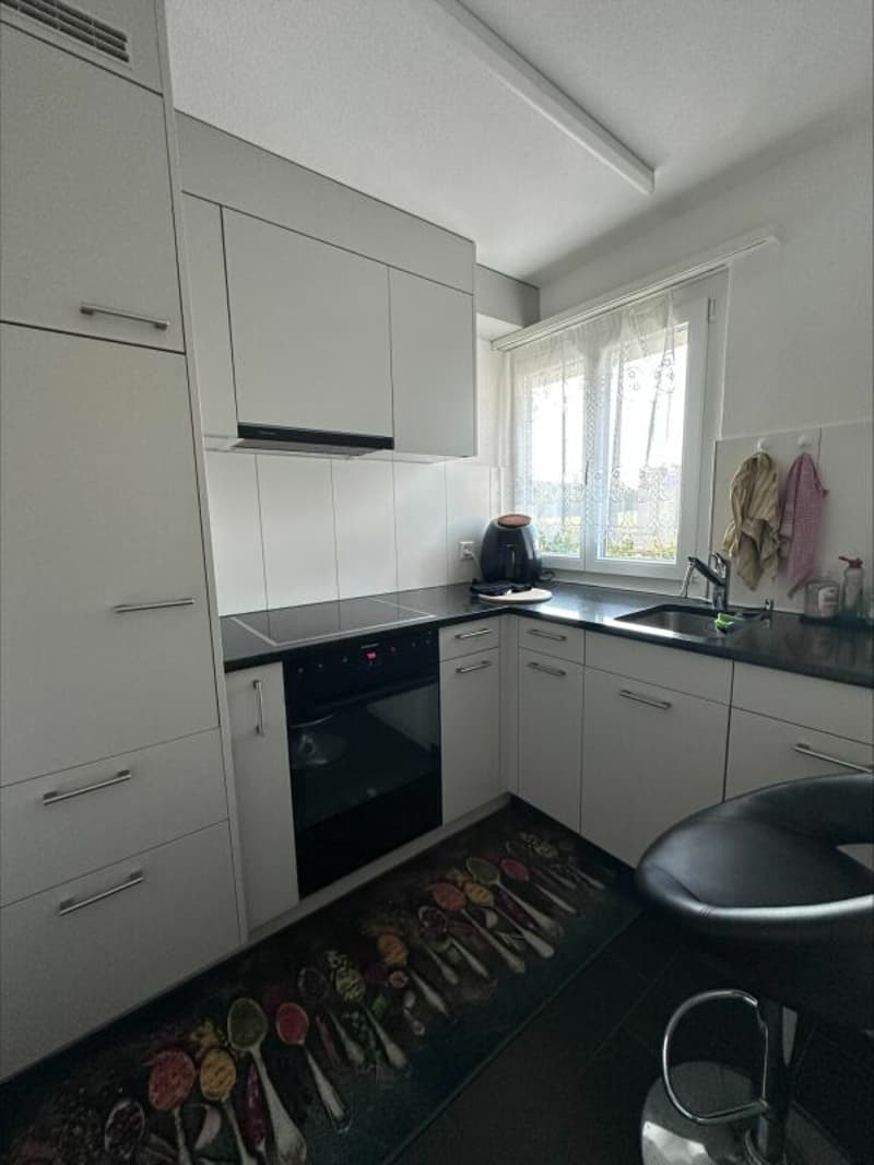 Appartement spacieux 1.5 pièces avec balcon ensoleillé (2)
