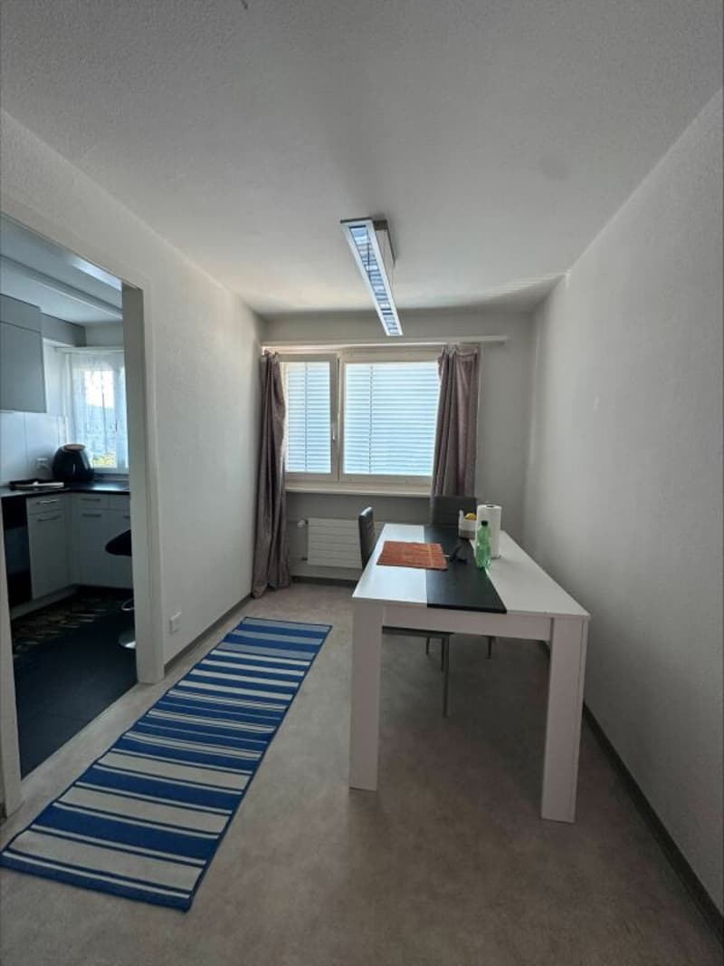 Appartement spacieux 1.5 pièces avec balcon ensoleillé (3)