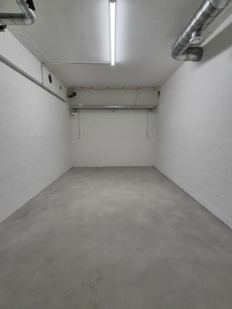 Salle polyvalente à louer à Brugg (2)