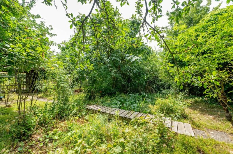 Casa a doppia famiglia con un grande giardino paradisiaco idilliaco in città - La tua nuova casa (17)