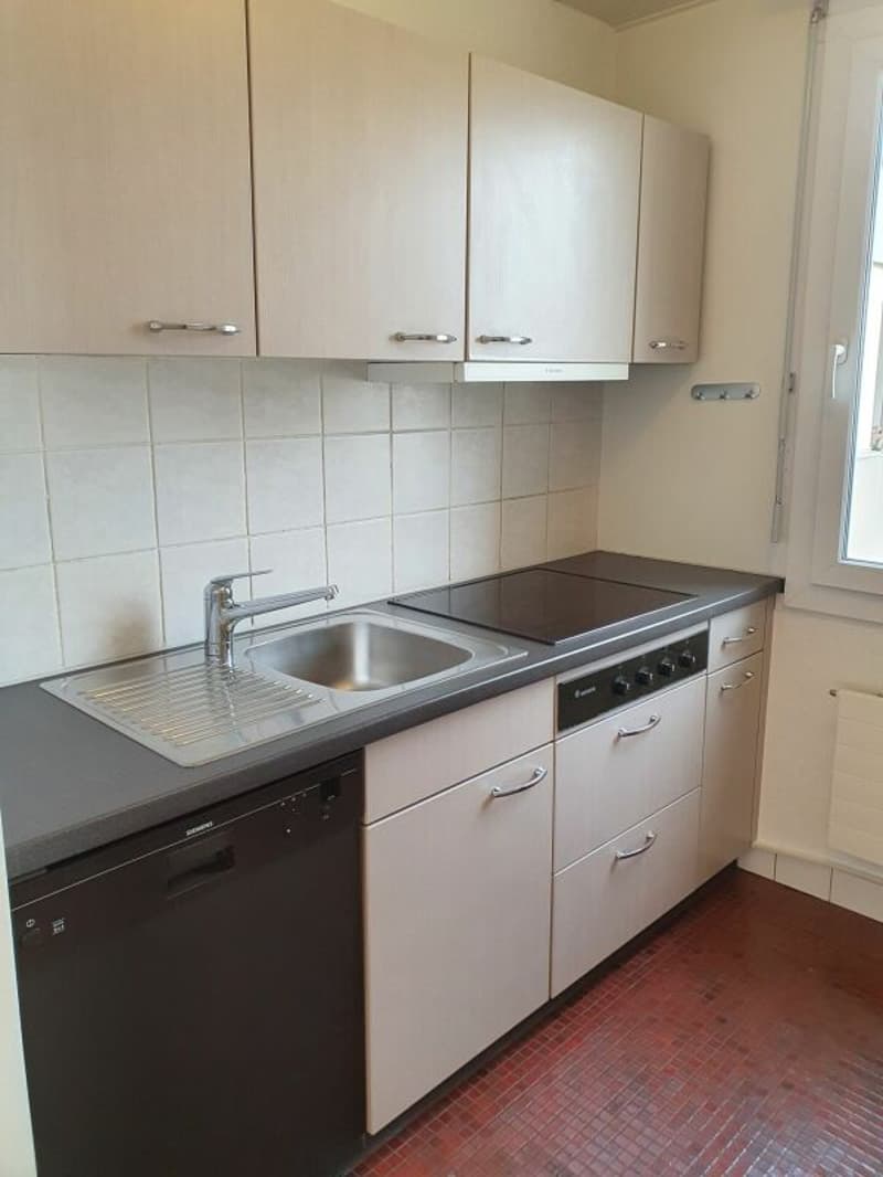 Bright, spacious 1.0-room garden apartment in a quiet residential area (3)