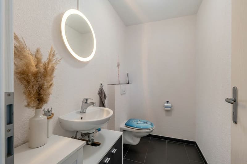 Gehobenes 5.5-Zimmer-Einfamilienhaus an ruhiger, begehrter Wohnlage! (9)