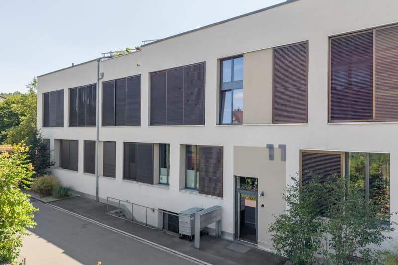 Exklusives Penthouse im obersten Stockwerk mit zwei Terrassen, überwiegend offener Grundriss mit rund 181 m2 (20)