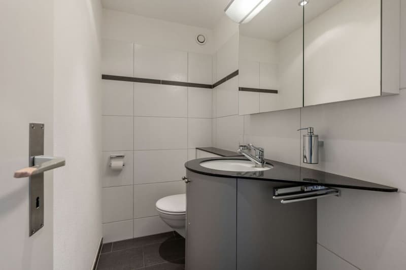 Grosszügiges 6.5-Zimmer-Reihenhaus im Herzen von Wettingen (8)