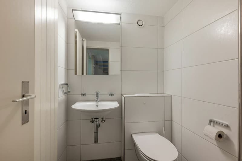 Grosszügiges 6.5-Zimmer-Reihenhaus im Herzen von Wettingen (15)
