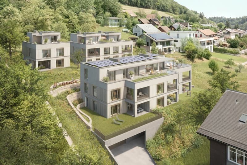 5.5-Zimmer-Attikawohnung - UNTERDORF MÖNTHAL - Zeitgemässe Architektur mitten im Grünen (2)