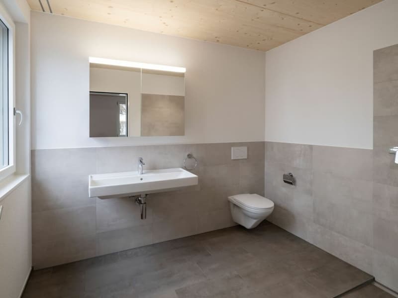 Grosszügige, moderne 3.5-Zimmer-Gartenwohnung zu vermieten (8)