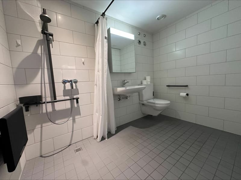 Alterswohnungen: Hindernisfreie 1-Zimmer-Wohnung beim Gesundheitszentrum Brugg (4)