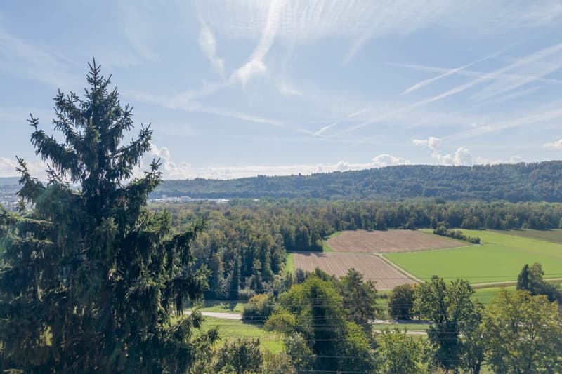 Umweltfreundliches Einfamilienhaus am Waldrand mit Solaranlage und Wärmepumpe (17)