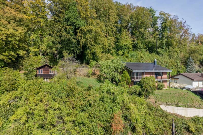 Umweltfreundliches Einfamilienhaus am Waldrand mit Solaranlage und Wärmepumpe (2)