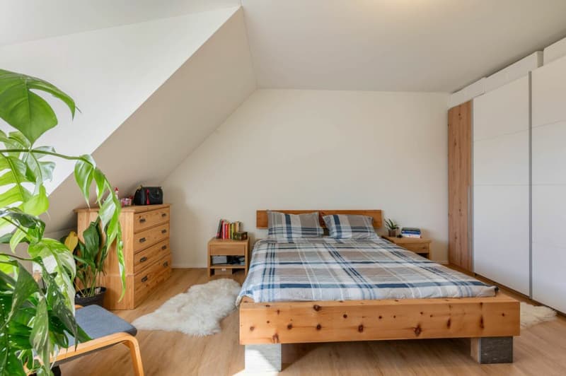 Vollsaniertes geschichtsträchtiges 6.5-Zimmer-Zuhause im Herzen vom steuergünstigen Lieblingsort Habsburg (15)