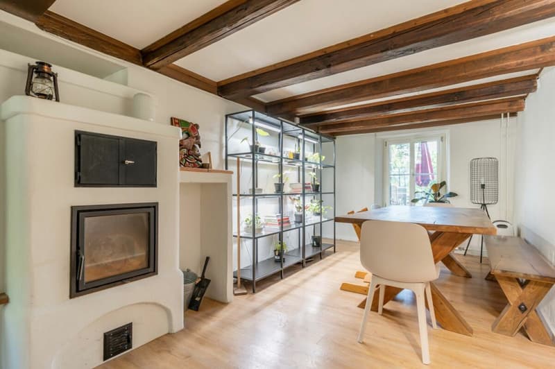 Vollsaniertes geschichtsträchtiges 6.5-Zimmer-Zuhause im Herzen vom steuergünstigen Lieblingsort Habsburg (5)