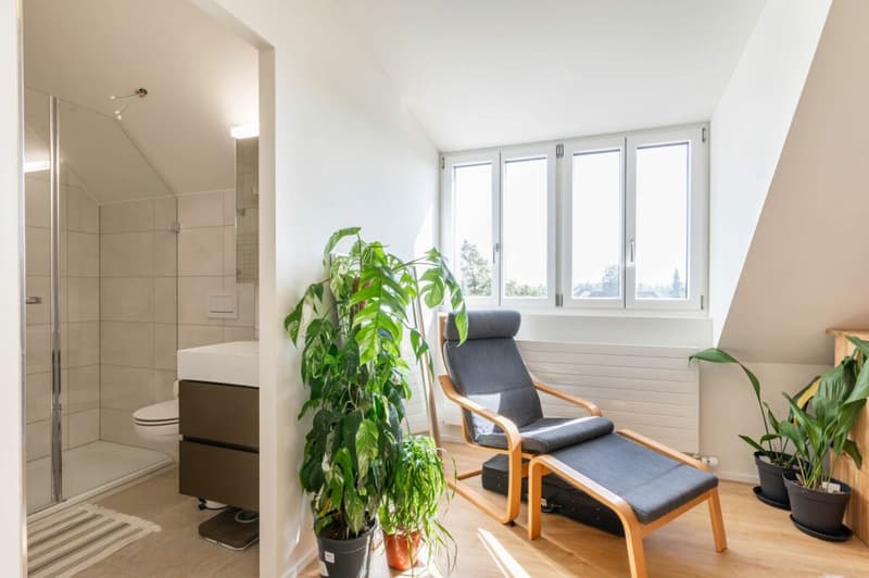 Vollsaniertes geschichtsträchtiges 6.5-Zimmer-Zuhause im Herzen vom steuergünstigen Lieblingsort Habsburg (14)