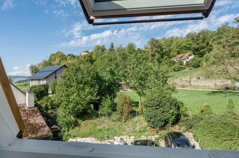 Vollsaniertes geschichtsträchtiges 6.5-Zimmer-Zuhause im Herzen vom steuergünstigen Lieblingsort Habsburg (23)