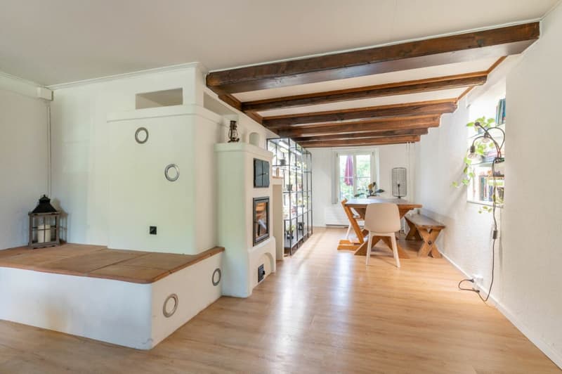 Vollsaniertes geschichtsträchtiges 6.5-Zimmer-Zuhause im Herzen vom steuergünstigen Lieblingsort Habsburg (4)