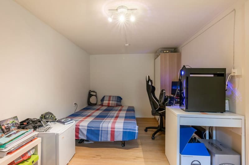Vollsaniertes geschichtsträchtiges 6.5-Zimmer-Zuhause im Herzen vom steuergünstigen Lieblingsort Habsburg (9)