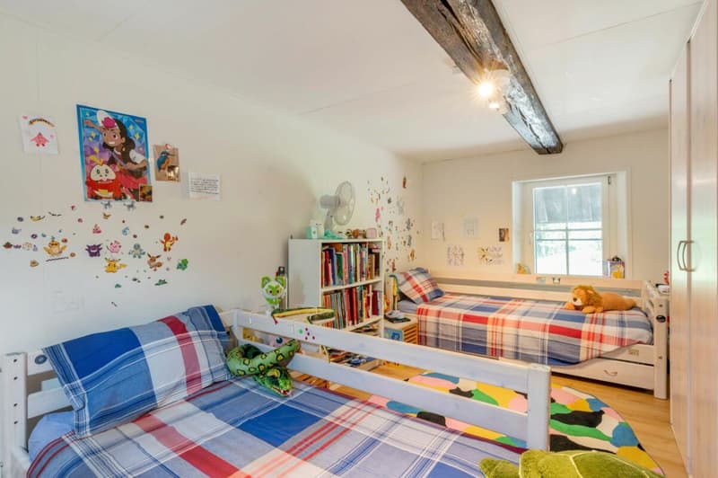 Vollsaniertes geschichtsträchtiges 6.5-Zimmer-Zuhause im Herzen vom steuergünstigen Lieblingsort Habsburg (8)