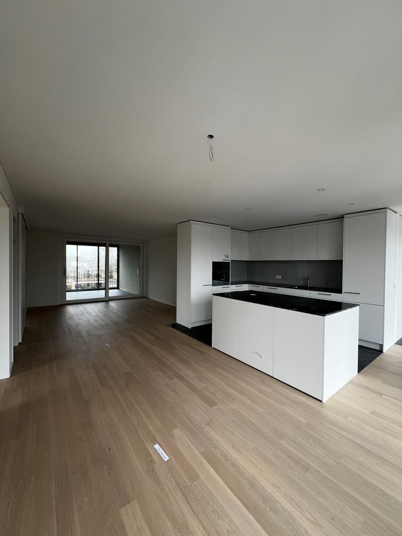 5.5-Zimmer-Wohnung im Eigentumsstandart mitten in Wettingen (1)