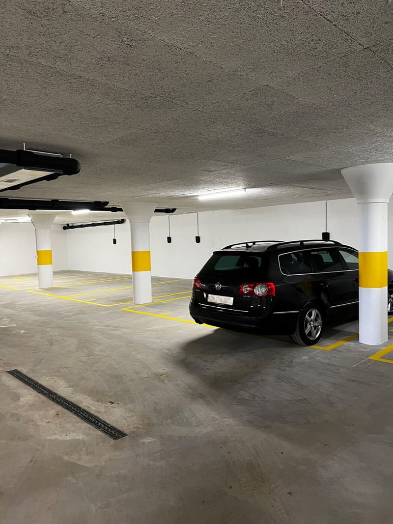 Garagenparkplatz zu vermieten (2)