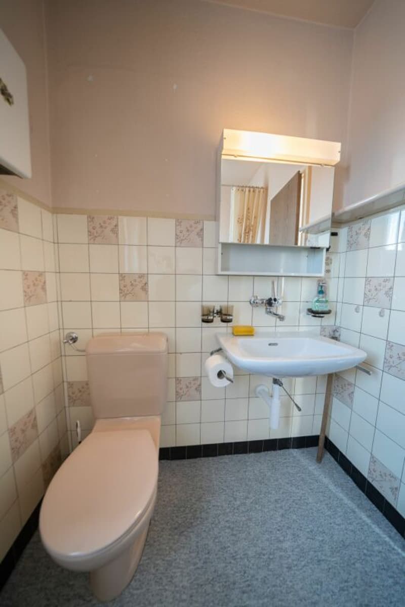 Jolie maison mitoyenne avec jardin spacieux (18)