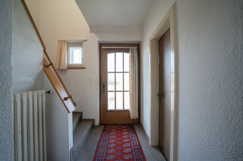 Jolie maison mitoyenne avec jardin spacieux (6)
