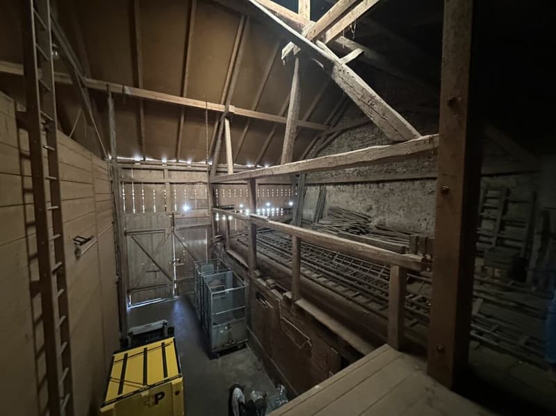 Casa colonica a Gansingen con potenziale (29)