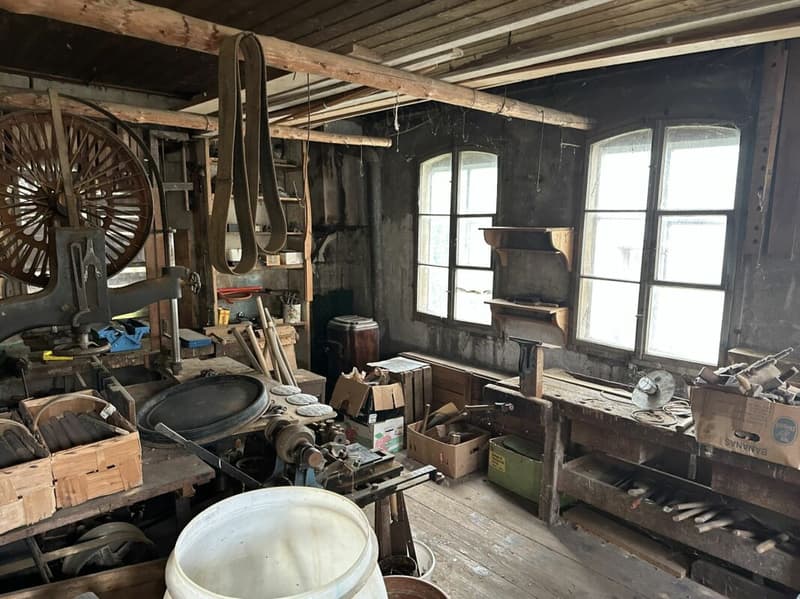 Casa colonica a Gansingen con potenziale (27)