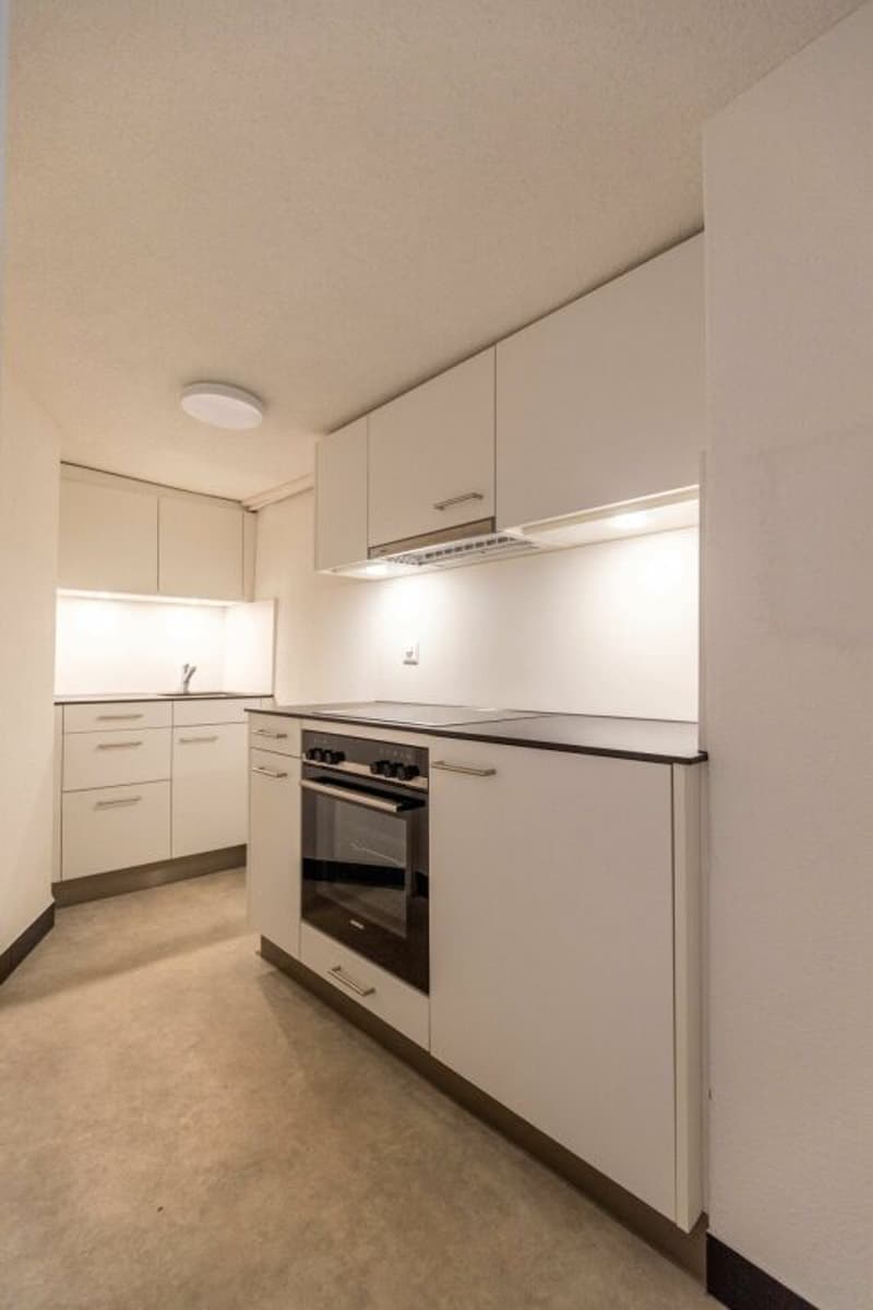 A genuine, freshly renovated old town house (8)