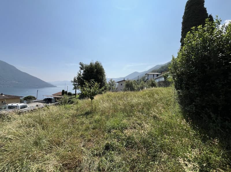 Terreno edificabile sopra il Lago Maggiore (4)